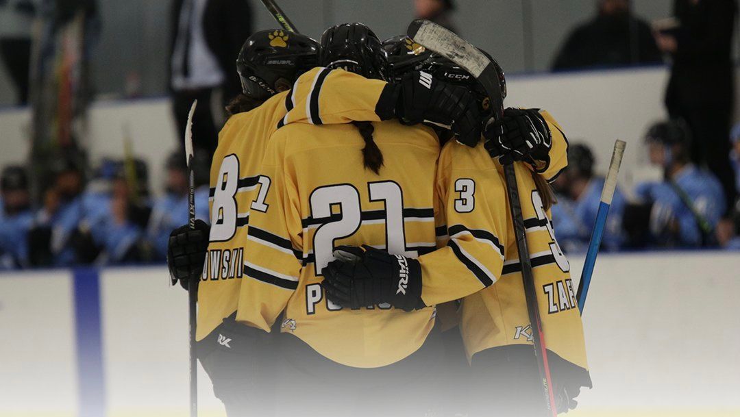 PHF Roundup: Season Eight, Week Five