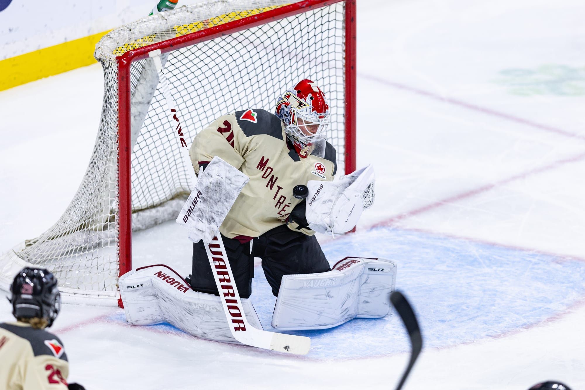 Vanišová Calls Game: Montreal 2, Minnesota 1