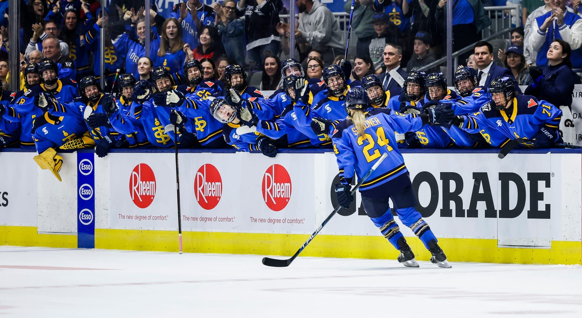 2025 PWHL Draft Needs - Toronto Sceptres