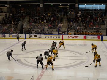 NWHL: Boston Pride Prove Too Strong for Buffalo Beauts