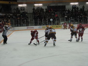 NCAA Women's Hockey: What to Watch, Week 12