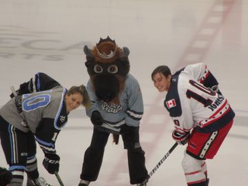 NWHL: Buffalo Beauts "Krush" NY Riveters