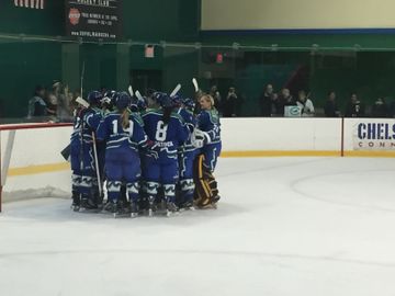 NWHL: Connecticut Whale Complete Roster