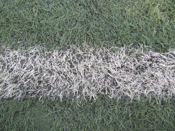 Summer Diaries #4: Just Like That, Summer Is Over