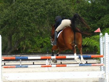 Equestrianism at the 2016 Olympics
