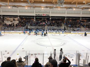 NWHL: Buffalo Beauts Make Coaching Change