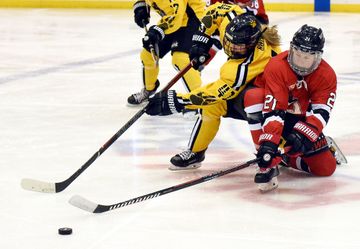 NWHL (Sort Of) Weekend Wrap: Week Fifteen