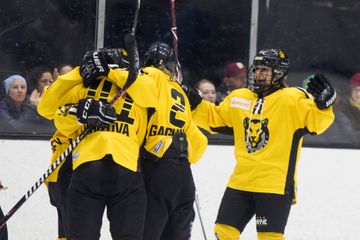 NWHL: Boston Pride Season Review