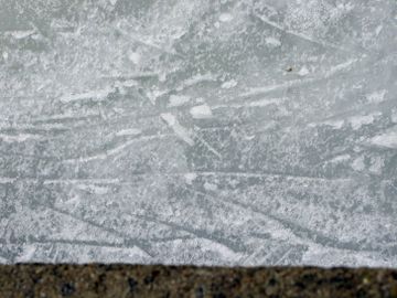 What Does Women's Hockey Look Like Amid a Pandemic?