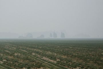 it's hard to write about sports right now