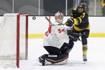 PHF Notebook: New PHF Players' Association Director; All-Stars; and More