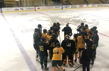 NCAA Women's Hockey: What to Watch, Week 19