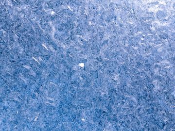 Former PHF Staff Raise Concerns about Digit Murphy's Professional Conduct