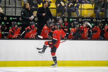 PHF Roundup: Season Eight, Week Three