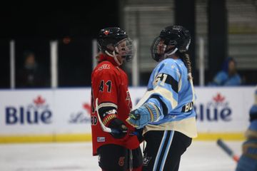 PHF Roundup: Season Eight, Week Six