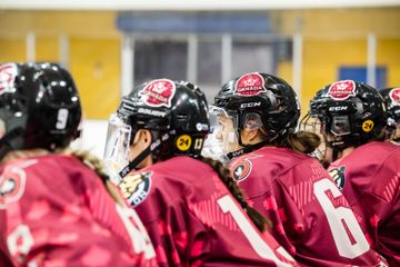 PHF Roundup: Season Eight, Week Ten