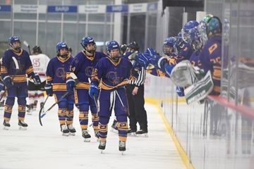 PHF Season 8: Connecticut Whale Season Review