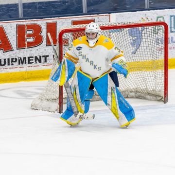 NCAA Women's Hockey: What to Watch, February 21-22