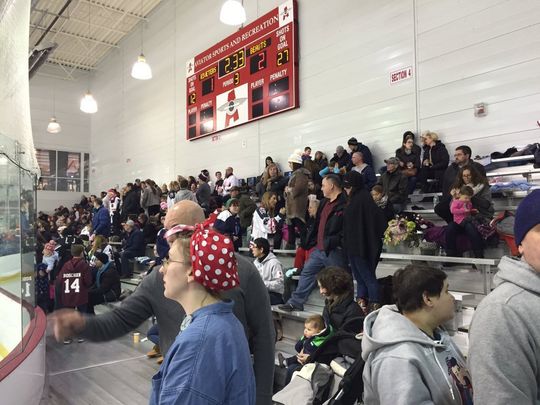 Role Models, Setting an Example, and Pro Women's Hockey Players