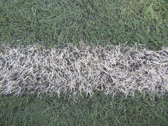 Summer Diaries #4: Just Like That, Summer Is Over