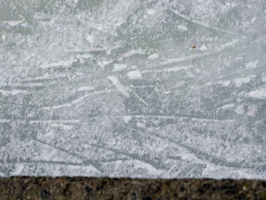 What Does Women's Hockey Look Like Amid a Pandemic?