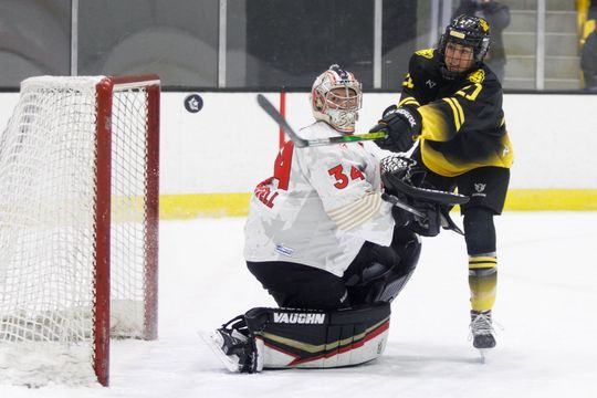 PHF Notebook: New PHF Players' Association Director; All-Stars; and More