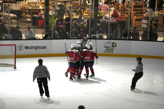 PHF Roundup: Season Eight, Week Fourteen