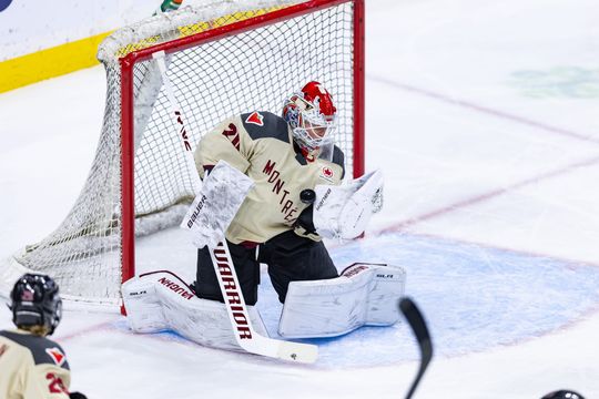 Vanišová Calls Game: Montreal 2, Minnesota 1