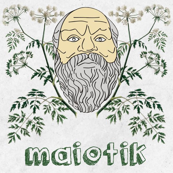 Öyleyse başlıyorum!