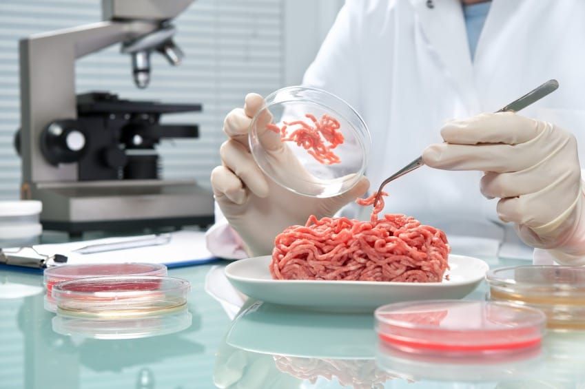 Pentagon Proposes Lab-Grown Meat for Troops to Reduce CO2 Footprint Amid Health Concerns post image