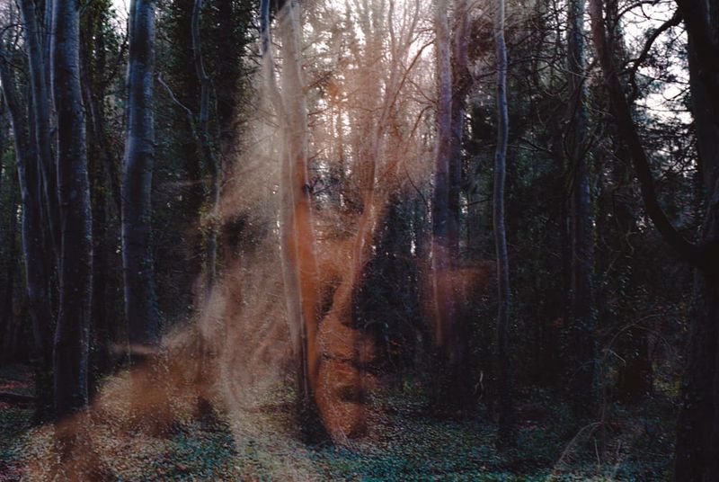 "All You Need Is Death" - A Chilling Triumph That Reimagines the Boundaries of Horror post image