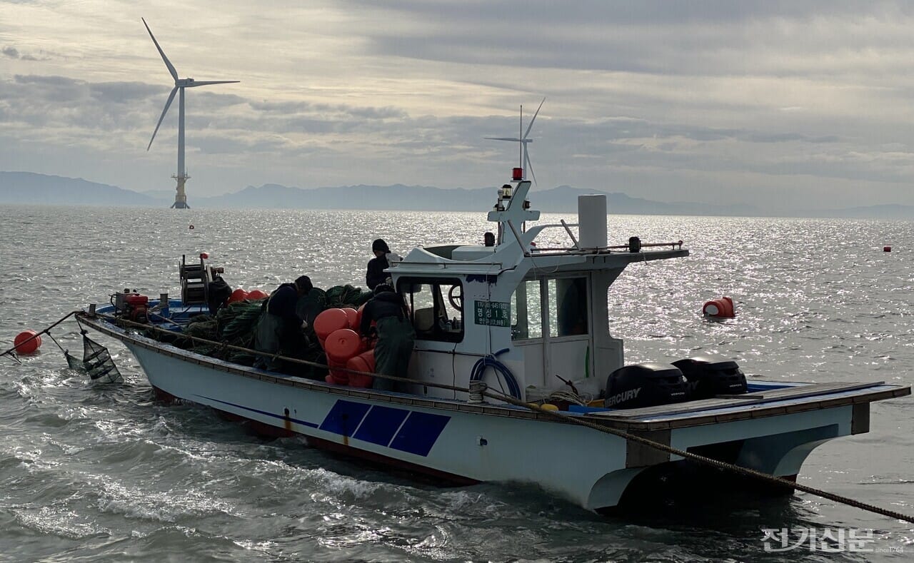 Researchers are conducting real-sea demonstration for coexistence with fisheries at the southwestern sea offshore wind power demonstration complex, with offshore wind turbines visible in the background.
