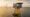 Illustrative image: Offshore substation on a jacket foundation in a wind farm at sunset