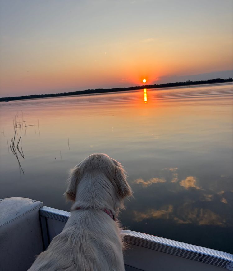 We'll Miss You, Millie