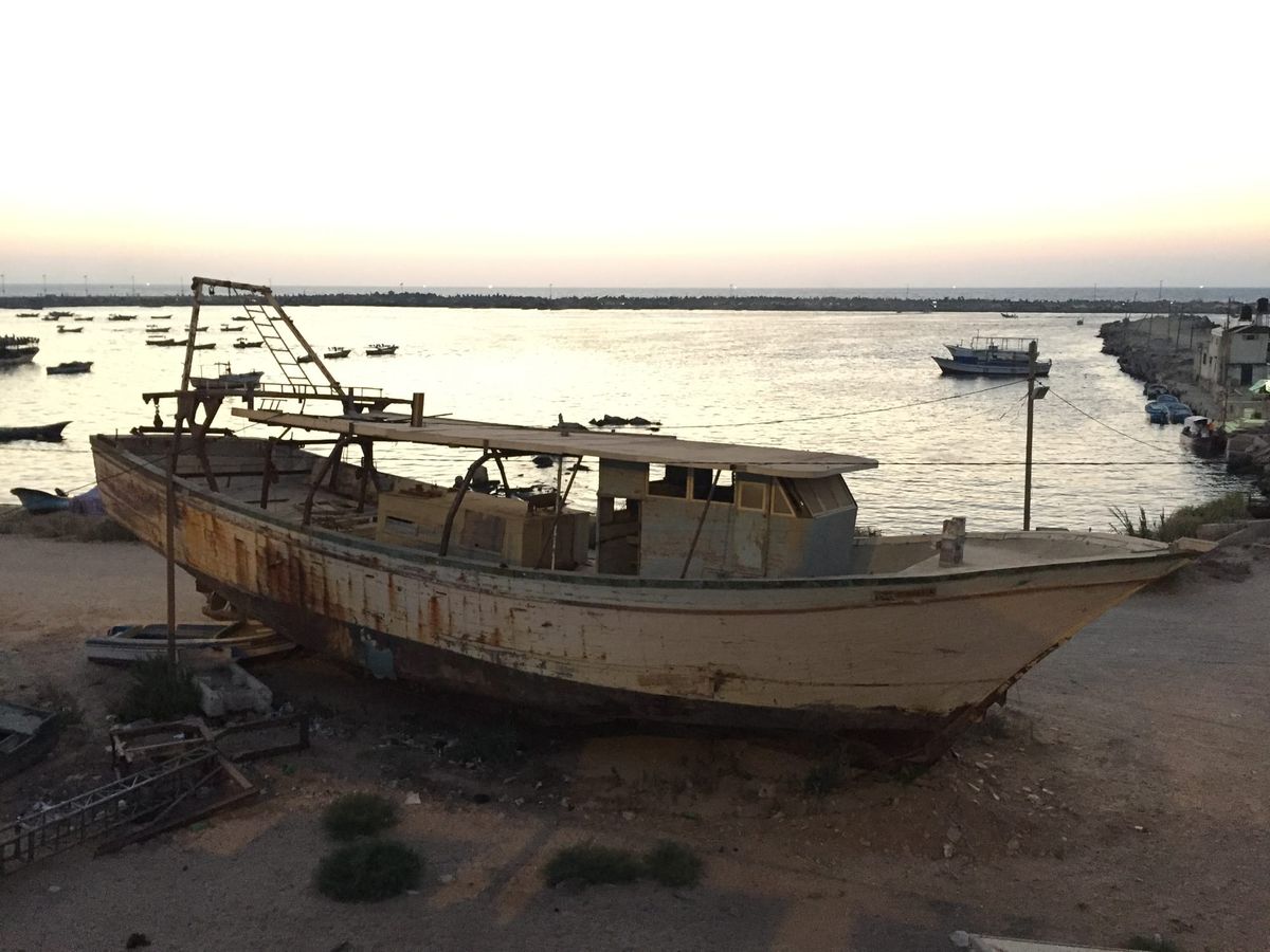 Why do you care about Palestine?