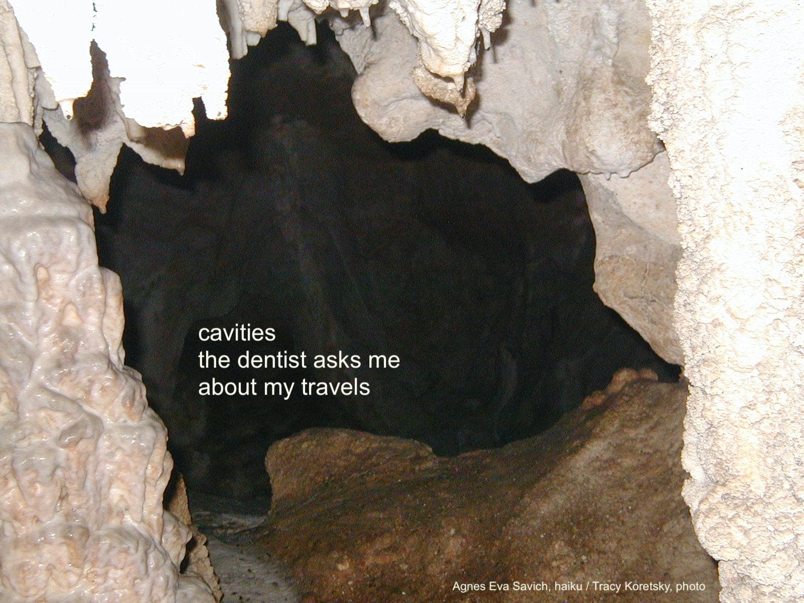 cavities the dentist asks me about my travels Agnes Eva Savich, haiku Tracy Koretsky, photo