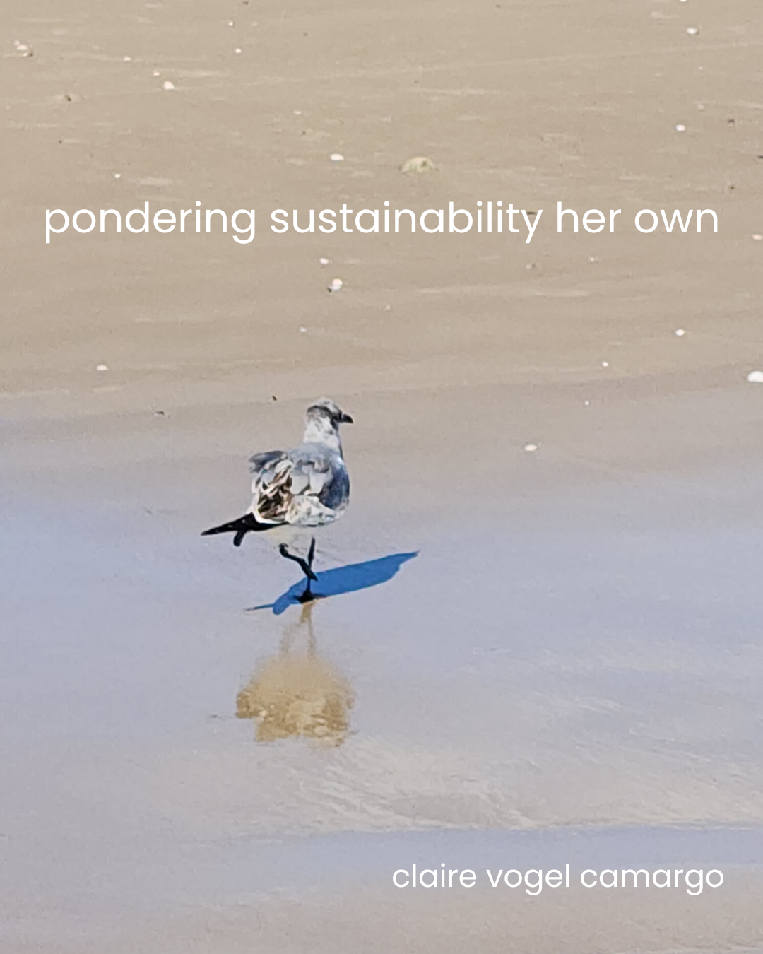pondering sustainability her own