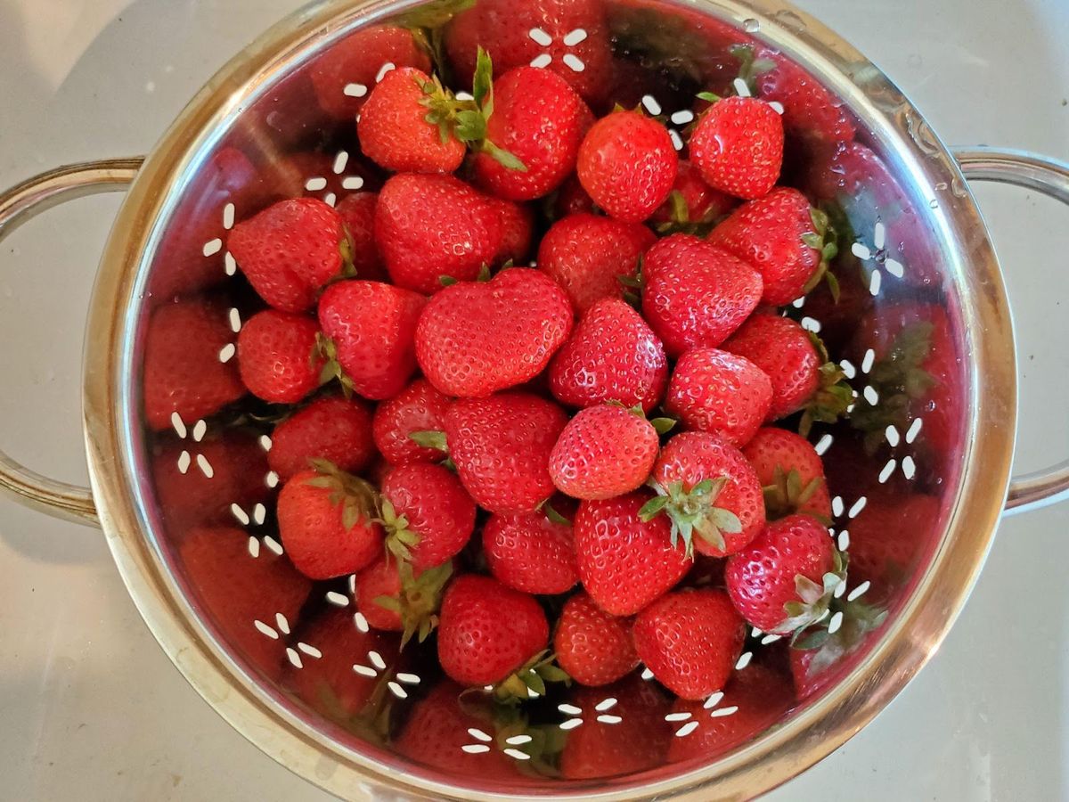 Taste of Summer