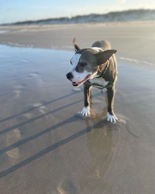 Beaches