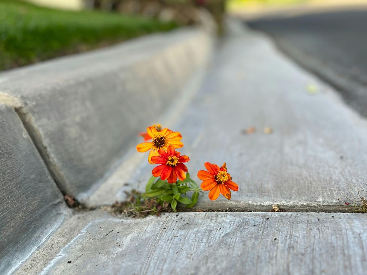 The Courage to Be Seen