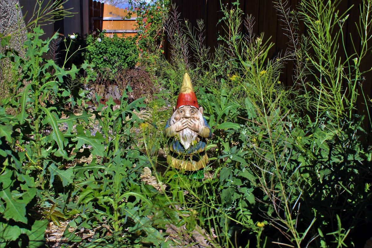 Overgrown