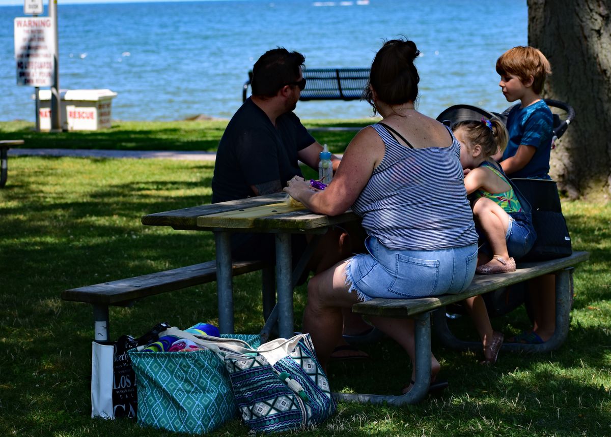 Picnics