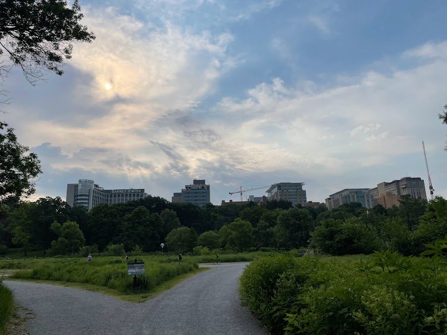 Summer Sky