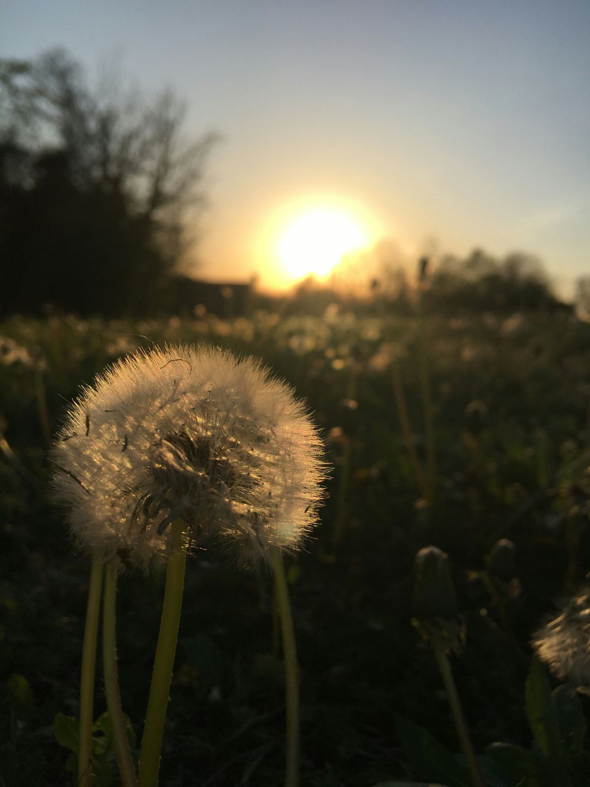 Day's End . . .