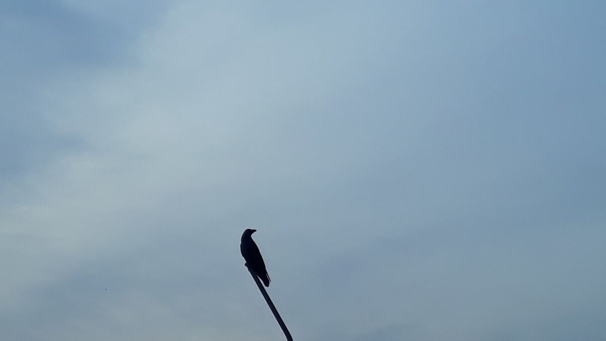 One