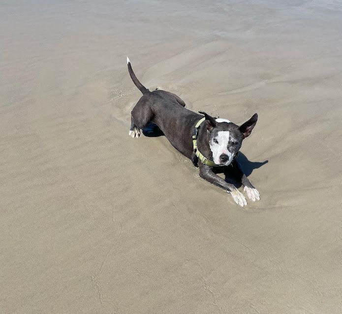 Sand