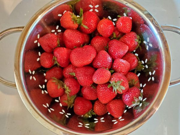 Taste of Summer