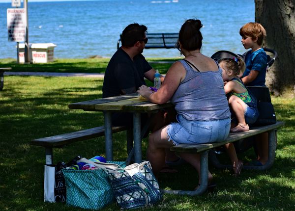 Picnics