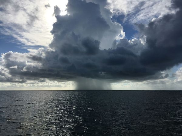 When the Rain Comes