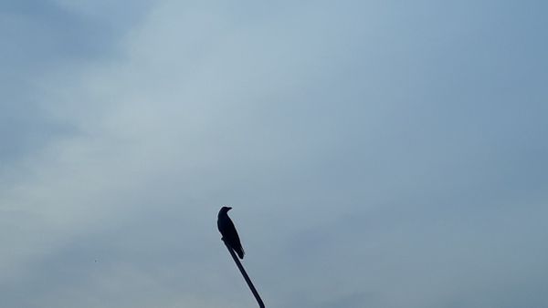 One